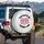 Smiling Pink Kidneys 'YOU GOTTA BE KIDNEY ME!' - Humorous Medical Organ Gift Spare Tire Cover - 3