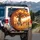 Fox Rabbit Pig Dog Child Procession Autumn Tree Fall Leaves Outdoor Decor Gift Spare Tire Cover - 3