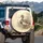 Mallard Duck Wetland Reeds Cattails Water Ripples - Wildlife Lover Bird Lover Gift Spare Tire Cover - 3