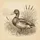 Mallard Duck Wetland Reeds Cattails Water Ripples - Wildlife Lover Bird Lover Gift Spare Tire Cover - 6