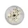 Translucent Wing Butterflies Beige Gold Floral Blossoms Muted Grey Nature Lover Gift Spare Tire Cover - 4