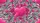 duiyfppz/products/6a0c03d48dcd6162b3bb71ba/gallery/-BcqTs6VH0
