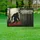 duiyfppz/products/6a0c04049d8ea34b89dfc969/gallery/CL5WxiuUbN