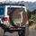Slender Off-White Cream Spotted Deer, Espresso Brown Background Outdoor Life Gift Spare Tire Cover - 3