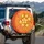 Groovy Psychedelic Five Petal Flowers Organic Swirls - Boho Lifestyle Gift Spare Tire Cover - 3