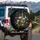 Midnight Black Wildflower Meadow Pink Poppies Blue Delphiniums - Nature Lover Gift Spare Tire Cover - 3