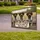 duiyfppz/products/6a0c0727227c75ed9bcfb2bd/gallery/4nwp7NRLJz