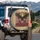 Bald Eagle American Flag 250 Years Freedom - USA 250th Anniversary Independence Day for Veterans Spare Tire Cover - 3
