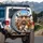 Expressive Funny Cows Sunglasses Road Trip - Humorous Adventure Gift for Cow Lover Spare Tire Cover - 3