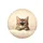 Tabby Cat Paws Peeking - Home Decor Gift Spare Tire Cover - 4