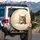 Tabby Cat Paws Peeking - Home Decor Gift Spare Tire Cover - 3