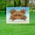 duiyfppz/products/6a0c0b119d8ea3d03edffa8d/gallery/SiPi3Z6jEU