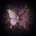 Butterfly Gold Wing Amethyst Lavender Black Botanical Silhouettes Home Decor Gift Spare Tire Cover - 6