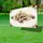 duiyfppz/products/6a0c0b88055898005f38e482/gallery/6pDsdontzs