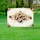 duiyfppz/products/6a0c0b88055898005f38e482/gallery/IE1NzJxfYr