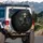 Mummified Cat Dog Glowing Eyes Rustic Steering Wheel - Ancient Gothic Horror Collector Gift Spare Tire Cover - 3
