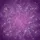 duiyfppz/products/6a0c0c93227c7575c6cfe1ff/gallery/idbxyFwTem