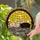 duiyfppz/products/6a0c0c99cd5dab0fb5ea209e/gallery/aXcELBe6Ld