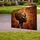 duiyfppz/products/6a0c0d492dbb6746b25eef06/gallery/djeDU7Q-T7