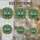duiyfppz/products/6a0c0ebe8dcd61182cbbb41a/gallery/1zwor-7mQ8