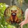 duiyfppz/products/6a0c0f72055898bfcf38fa8f/gallery/x9uOb-fqxp