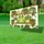 Friendly Frog Houseplants Wooden Shelf Decor - Home Decor Gift for Houseplant Lover Yard Sign - 4