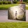 Jesus Risen Path, Flowering Trees - Easter Religious Gift Yard Sign - 3