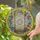 Rustic Swing Floral Garland Clear Glass - Home Decor Gift for Garden Lover Stained Glass Suncatcher - 2