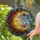 Rose Crescent Moon Stars - Home Decor Gift for Celestial Lover Stained Glass Suncatcher - 2