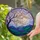 Cherry Blossom Tree Full Moon Mountain Night Scene - Home Decor Gift Stained Glass Suncatcher - 2