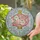Coral Pink Chinese Lantern Peony Blossom Vines Auspicious Cloud - Home Decor Gift Stained Glass Suncatcher - 2