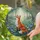 Red Fox Wildflower Meadow Butterfly - Home Decor Gift for Wildlife Lover Stained Glass Suncatcher - 2