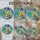 Parrot Leprechaun Hat Four-Leaf Clover Golden Coins - St. Patrick's Day Home Decor for Luck Collector Stained Glass Suncatcher - 4