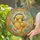 Baby Chick Headphones Music Notes Floral Stars Shards - Music Lover Home Decor Gift Stained Glass Suncatcher - 2