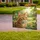 Magnificent Ginger Tabby Cat Emerald Eyes - Garden Decor Cat Lover Gift Yard Sign - 3