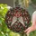 Angel Wings Halo Holly Berries Evergreen Stars - Christmas Home Decor Gift Stained Glass Suncatcher - 2