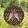 Angel Wings Halo Holly Berries Evergreen Stars - Christmas Home Decor Gift Stained Glass Suncatcher - 1
