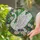 White Swan Floral Mosaic Wildlife Lover Home Decor Gift for Swan Lovers Stained Glass Suncatcher - 2
