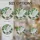 White Swan Floral Mosaic Wildlife Lover Home Decor Gift for Swan Lovers Stained Glass Suncatcher - 4