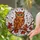 duiyfppz/products/6a0c140d2dbb6711155f0e07/gallery/yS7m8kG3KO