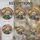 duiyfppz/products/6a0c14770ea3713f95bf34bf/gallery/xGUyz74Qch