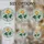 duiyfppz/products/6a0c14d3cd5dab4cb3ea478d/gallery/5upI8e5wjU