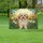 duiyfppz/products/6a0c151d8dcd612feebbce03/gallery/90WObWV4bu