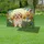 duiyfppz/products/6a0c151d8dcd612feebbce03/gallery/jNEdU_3J9c
