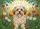 duiyfppz/products/6a0c151d8dcd612feebbce03/gallery/zu5aks6S2F