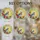 duiyfppz/products/6a0c1800cd5dab8088ea4f4e/gallery/fAIQy6Q5oS