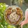 duiyfppz/products/6a0c1852ed5a0258933ce433/gallery/bqRufUae1j