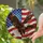 duiyfppz/products/6a0c1883227c755af9d02886/gallery/Im4wxKnGDr