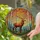 duiyfppz/products/6a0c18b8227c7509d6d028be/gallery/eBOpMPwgps