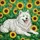 duiyfppz/products/6a0c19bf9d8ea3eaafe036b5/gallery/cWRP-JvGjf